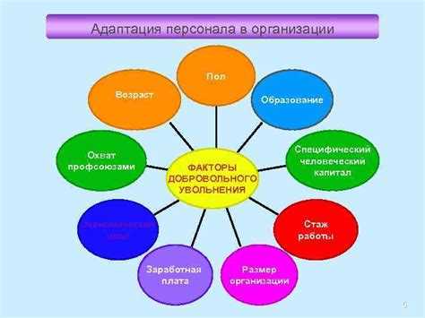 Разработка программы адаптации персонала