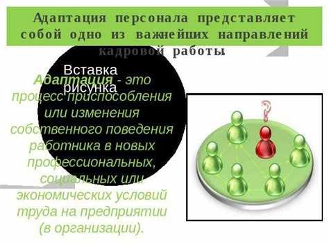 Предоставление ресурсов для успешной адаптации персонала