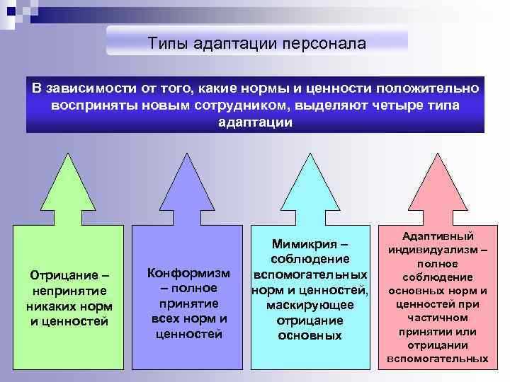 План адаптации