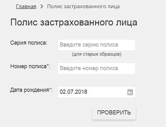 Способы проверки готовности полиса ОМС для иностранных граждан