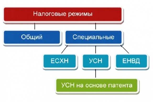 Налогообложение прибыли ООО