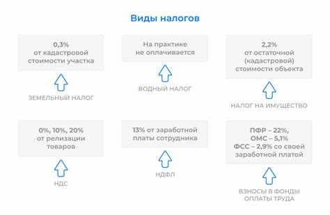  Обзор налогообложения 