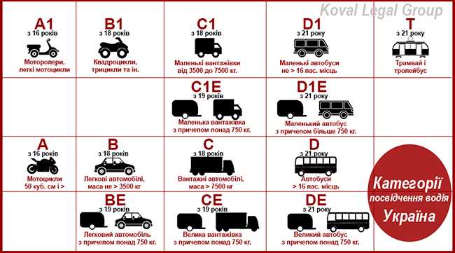 Мотоциклетные права: какие категории есть в новую расшифровкой и как их получить