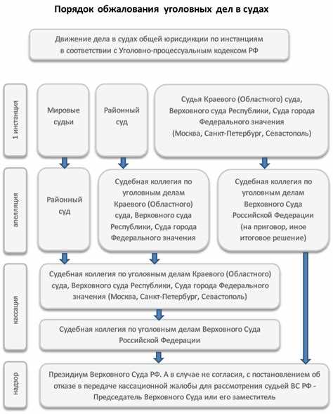 Порядок рассмотрения апелляционной жалобы в уголовном процессе