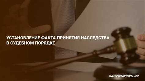 Список возможных наследников: кто имеет право на наследство