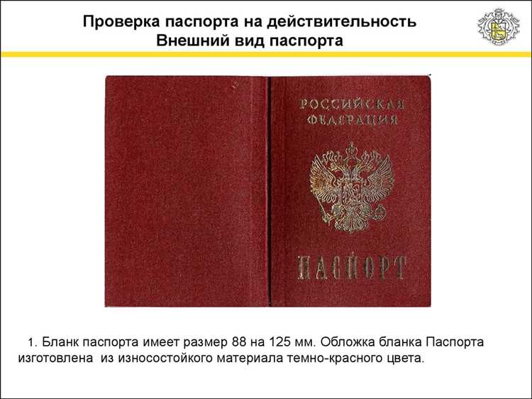 Как правильно проверить паспорт гражданина РФ: подробная инструкция