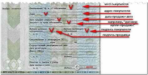 Необходимость проверки кем выдан ПТС и как это сделать