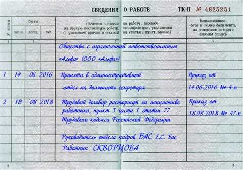 Другие нужные документы для регистрации ИП