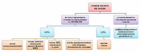 Необходимые документы для уплаты земельного налога